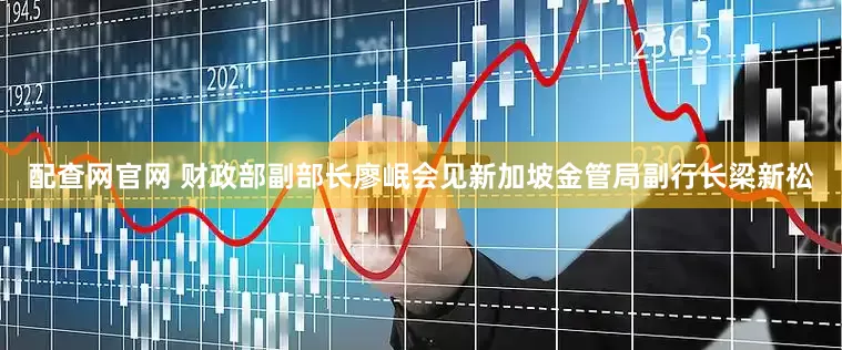 配查网官网 财政部副部长廖岷会见新加坡金管局副行长梁新松